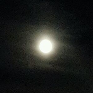 Meet your Posher, Bridgette